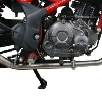 GPR exhaust compatible with  Benelli Bn 125 2018-2020, Albus Evo4, Homologated legal full system exhaust, including removable db killer and catalyst 