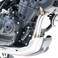 GPR pot echappement compatible avec  Royal Enfield Himalayan 450  2024-2025, Decatalizzatore, Suppresseur de cataliseu, décatalyseurr, article sans homologation 